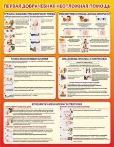 Стенд "Первая доврачебная неотложная помощь" - fgospostavki.ru - Королёв