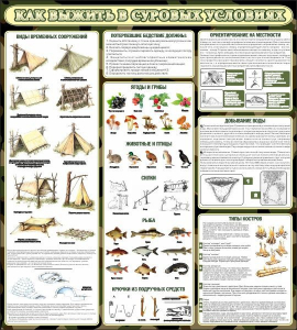 Стенд информационный "Как выжить в суровых условиях" - fgospostavki.ru - Королёв