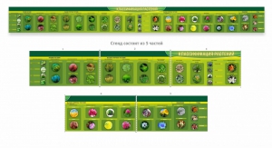 Стенд "Классификация растений" - fgospostavki.ru - Королёв