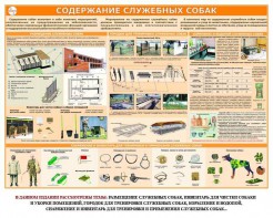Комплект плакатов "Кинология" - fgospostavki.ru - Королёв