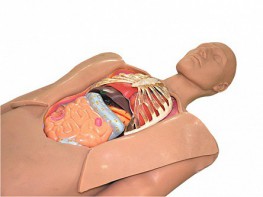 Муляж оперируемого пациента с экскурсией в грудную клетку и маской наркоза - fgospostavki.ru - Королёв