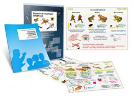 Комплект кодотранспарантов "Ядовитые и жалящие животные" - fgospostavki.ru - Королёв