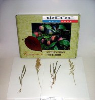 Гербарий "Культурные растения" (28 видов) - fgospostavki.ru - Королёв