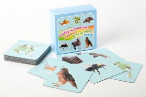 Набор магнитных карточек "Устный счет" (фон голубой) - fgospostavki.ru - Королёв