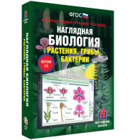 Наглядная биология. 6 класс. Растения. Грибы. Бактерии - fgospostavki.ru - Королёв