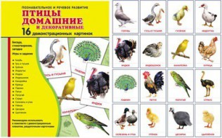 Демонстрационные карточки "Птицы домашние и декоративные" - fgospostavki.ru - Королёв