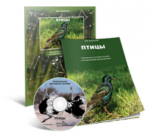 Электронное наглядное пособие «Птицы» - fgospostavki.ru - Королёв