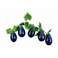 Ветка муляжей "Баклажаны" - fgospostavki.ru - Королёв