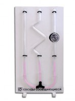 Сосуды сообщающиеся (вариант 2) - fgospostavki.ru - Королёв