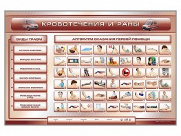 Трехсекционный базовый комплект "Травмы. Кровотечения. Ожоги" для учащихся общеобразовательных учреждений - fgospostavki.ru - Королёв