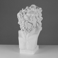 Бюст Лаокоона (гипс) - fgospostavki.ru - Королёв