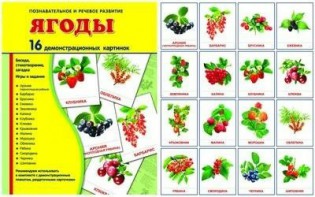 Демонстрационные карточки "Ягоды" - fgospostavki.ru - Королёв