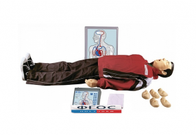 "Максим III-01" тренажер сердечно-легочной и мозговой реанимации - fgospostavki.ru - Королёв