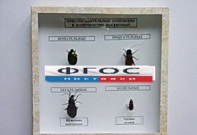 Коллекция энтомологическая "Приспособительные изменения в конечностях насекомых" - fgospostavki.ru - Королёв