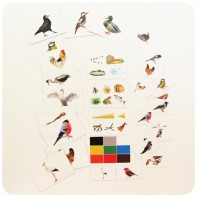 Набор магнитных карточек "Загадки-отрицания". Птицы - fgospostavki.ru - Королёв