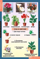 Комплект таблиц. Окружающий мир 1 класс. - fgospostavki.ru - Королёв