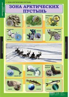 Комплект таблиц. Окружающий мир 4 класс. - fgospostavki.ru - Королёв