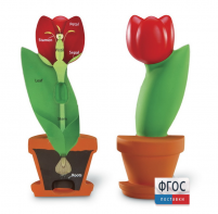 Модель цветка - fgospostavki.ru - Королёв