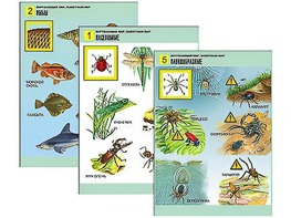 Комплект таблиц "Окружающий мир. Животный мир" (8 таблиц, А1, ламинированные) - fgospostavki.ru - Королёв