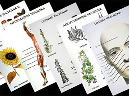 Таблицы по природоведению 1-3 класс (46 штук, формат А2) - fgospostavki.ru - Королёв