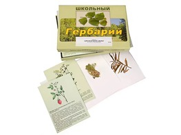 Гербарий "Для начальной школы" (30 видов, с иллюстрациями) - fgospostavki.ru - Королёв