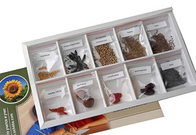 Коллекция "Плоды сельскохозяйственных растений" - fgospostavki.ru - Королёв