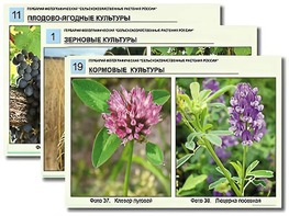 Гербарий фотографический "Сельскохозяйственные растения России" - fgospostavki.ru - Королёв