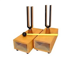 Камертоны на резонансных ящиках (пара) - fgospostavki.ru - Королёв