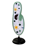 Модель инфузории-туфельки - fgospostavki.ru - Королёв