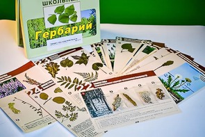Гербарий к курсу основ общей биологии - fgospostavki.ru - Королёв