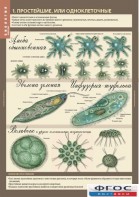 Комплект таблиц. Биология 7 класс. Животные. - fgospostavki.ru - Королёв