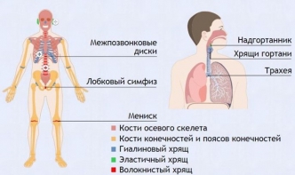 Интерактивные курсы. Биология 9 класс. Базовый. - fgospostavki.ru - Королёв