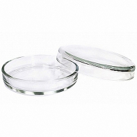 Чашка Петри 100х20 - fgospostavki.ru - Королёв