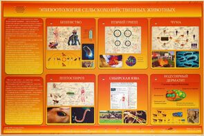 Электрифицированный стенд «Эпизоотология сельскохозяйственных животных» - fgospostavki.ru - Королёв