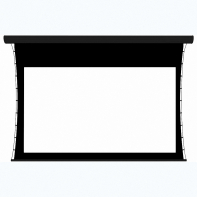 Экран настенный с электроприводом DSTPX-16916 - fgospostavki.ru - Королёв