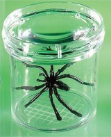 Баночка для изучения насекомых GeoSafari - fgospostavki.ru - Королёв