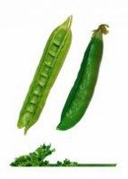 Комплект карточек "Запоминай, играй, считай" - Овощи - fgospostavki.ru - Королёв