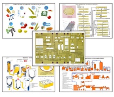 Плакаты ПРОФТЕХ "Сырье и материалы хлебопекарного производства" (20 пл, винил, 70х100) - fgospostavki.ru - Королёв