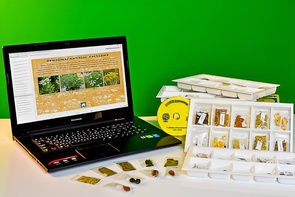 Коллекция натурально-интерактивная "Плоды сельскохозяйственных растений" - fgospostavki.ru - Королёв