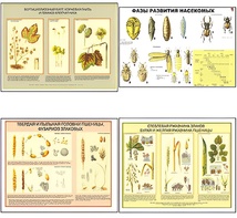 Плакаты ПРОФТЕХ "Вредители и болезни с/х культур и меры борьбы с ними" (11 пл, винил, 70х100) - fgospostavki.ru - Королёв