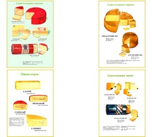 Плакаты ПРОФТЕХ "Ассортимент сыров" (9 пл, винил, 70х100) - fgospostavki.ru - Королёв