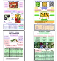 Плакаты ПРОФТЕХ "Классификация овощей" (11 пл, винил, 70х100) - fgospostavki.ru - Королёв