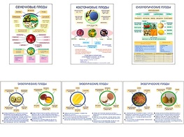 Плакаты ПРОФТЕХ "Плоды" (6 пл, винил, 70х100) - fgospostavki.ru - Королёв