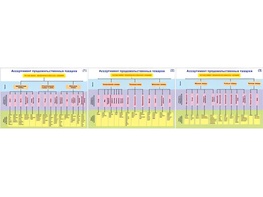 Плакаты ПРОФТЕХ "Ассортимент продовольственных товаров" (3 пл, винил, 70х100) - fgospostavki.ru - Королёв