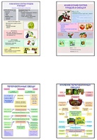 Плакаты ПРОФТЕХ "Классификация овощей и переработка" (8 пл, винил, 70х100) - fgospostavki.ru - Королёв
