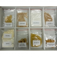 Коллекция  «Развитие пшеницы»  - fgospostavki.ru - Королёв