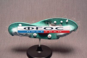 Модель "Инфузория-туфелька" - fgospostavki.ru - Королёв