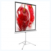 Экран на штативе DSKD-1106 - fgospostavki.ru - Королёв