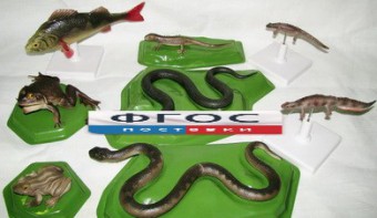 Комплект моделей "Позвоночные животные" (8 штук) - fgospostavki.ru - Королёв