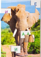 Магнитная орфография (безударные гласные, 1 класс) "Слон" - fgospostavki.ru - Королёв